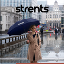 Stormparaplu Opvouwbaar - Stormparaplu's - Inklapbaar - Ø 110 cm - Windproof tot 100km p/u - Grote Paraplu - Automatisch - Blauw